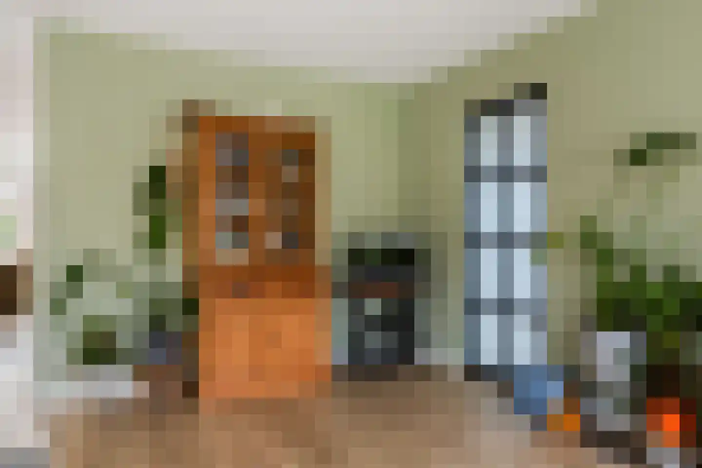 Nieuwe Kerkstraat 70 Nijkerkerveen thumbnail 11