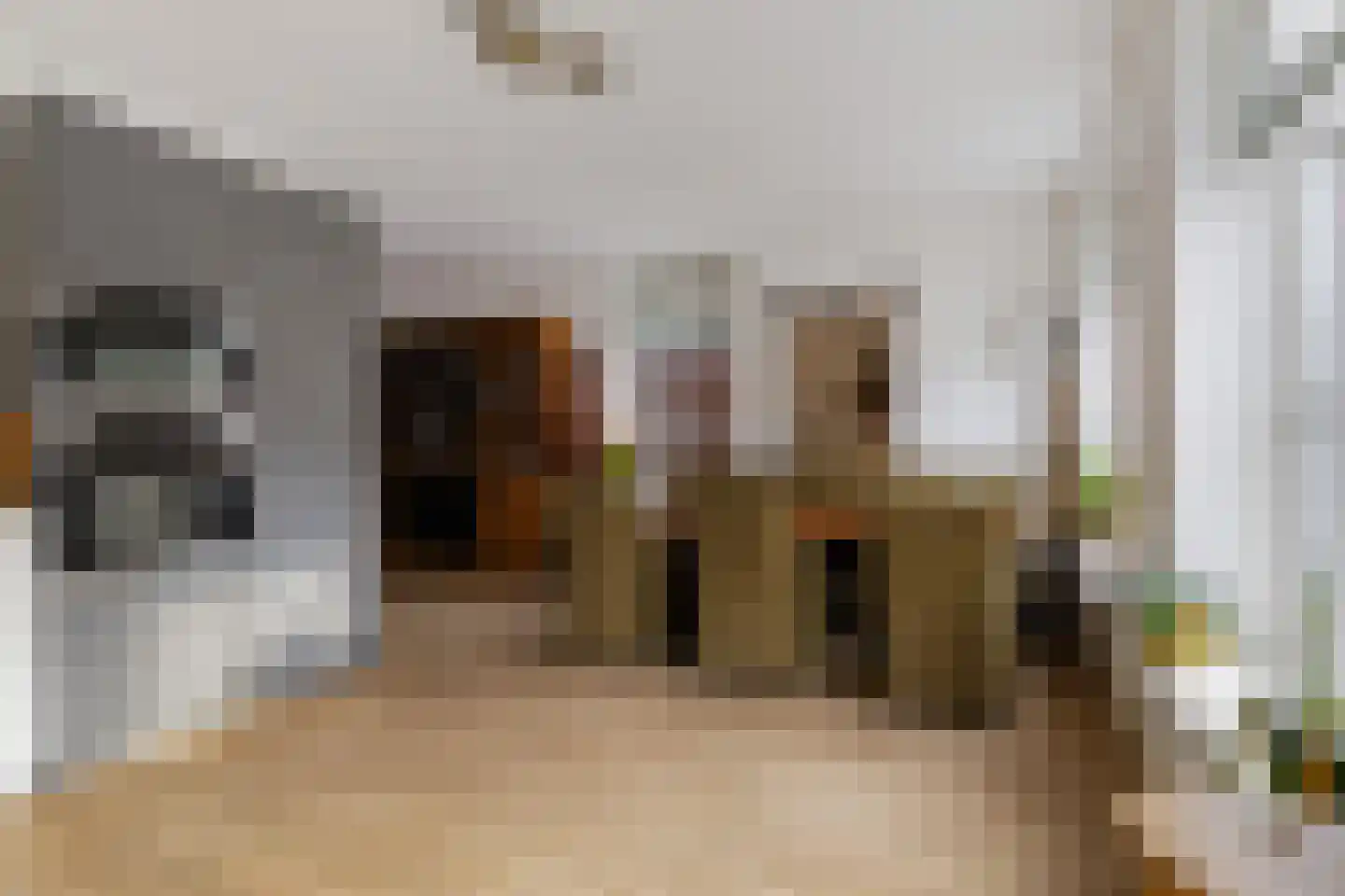 Nieuwe Kerkstraat 70 Nijkerkerveen thumbnail 13