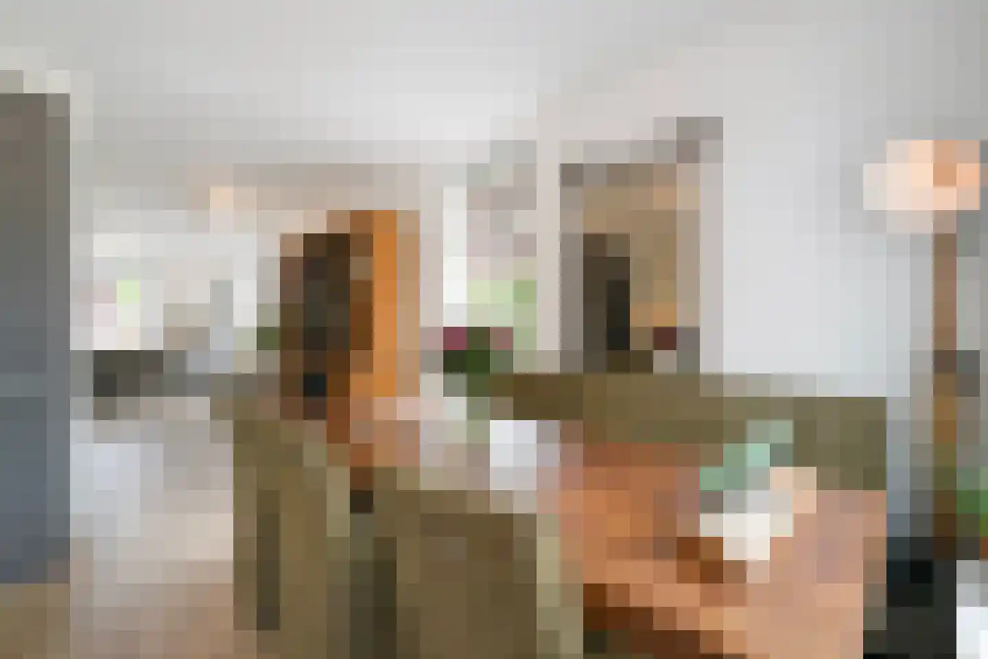 Nieuwe Kerkstraat 70 Nijkerkerveen thumbnail 14