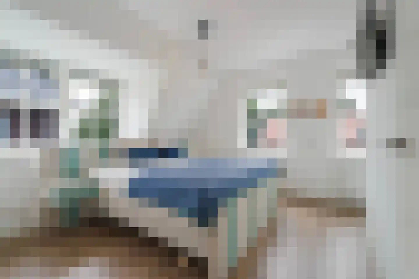 Nieuwe Kerkstraat 70 Nijkerkerveen thumbnail 16