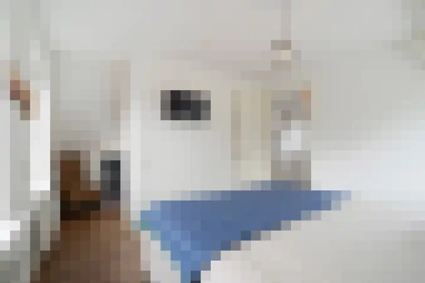 Nieuwe Kerkstraat 70 Nijkerkerveen thumbnail 17