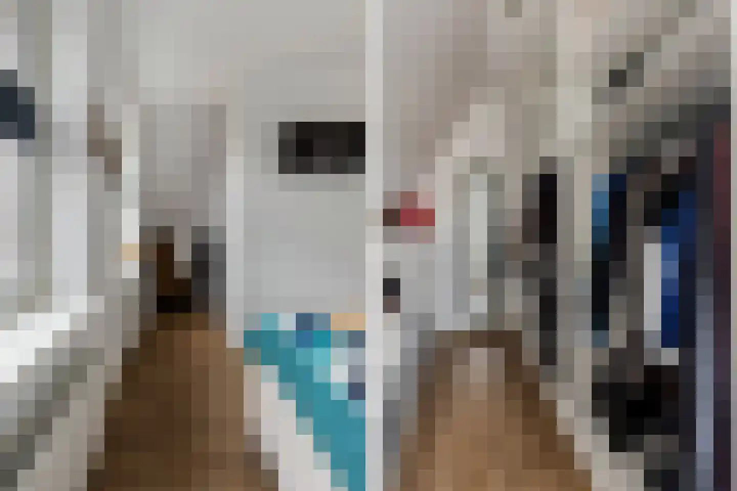 Nieuwe Kerkstraat 70 Nijkerkerveen thumbnail 21