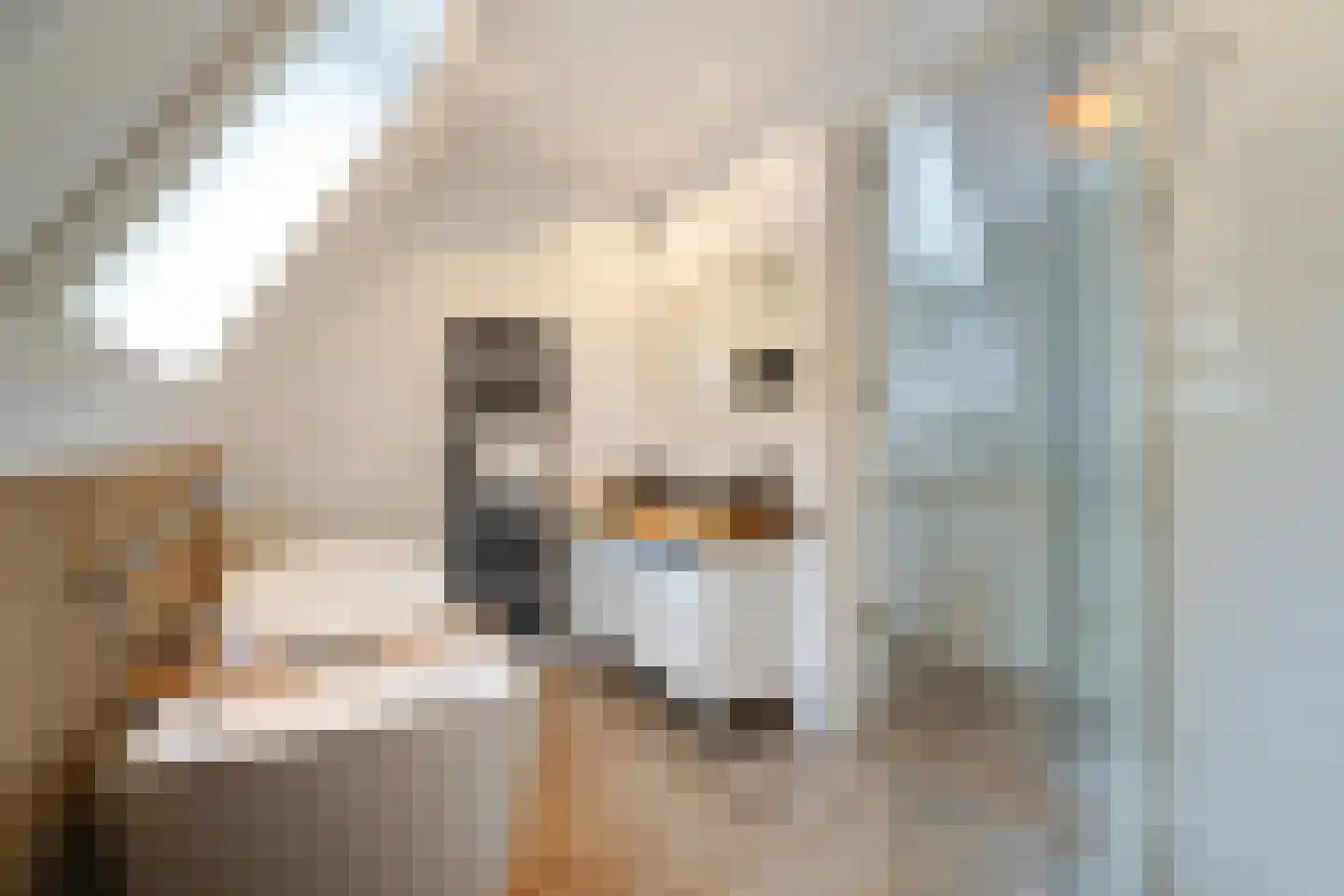 Nieuwe Kerkstraat 70 Nijkerkerveen thumbnail 22
