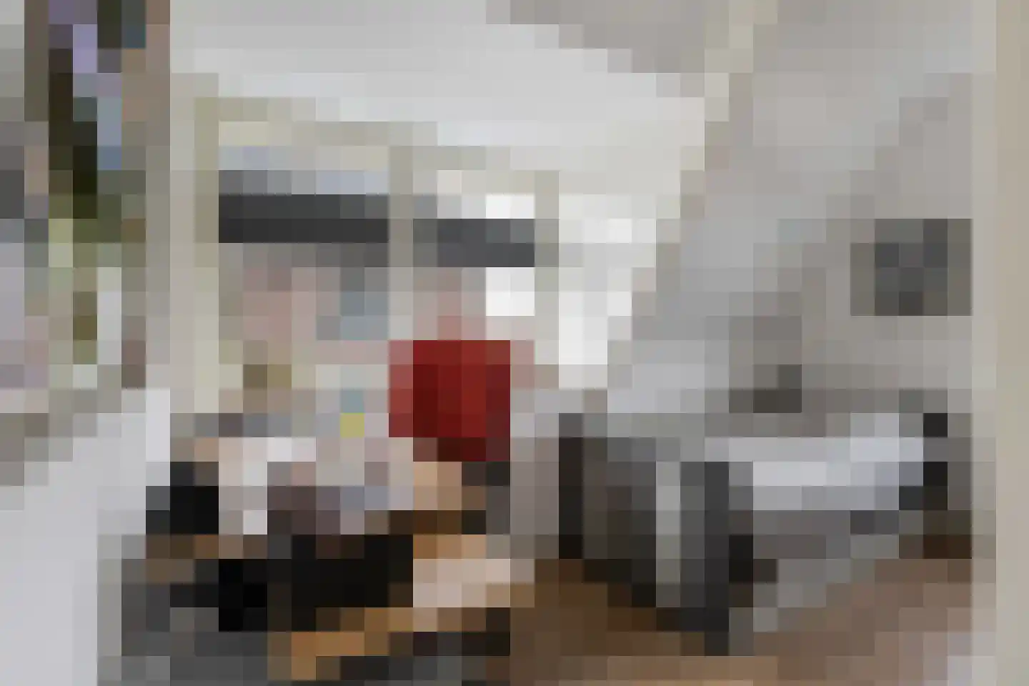 Nieuwe Kerkstraat 70 Nijkerkerveen thumbnail 24