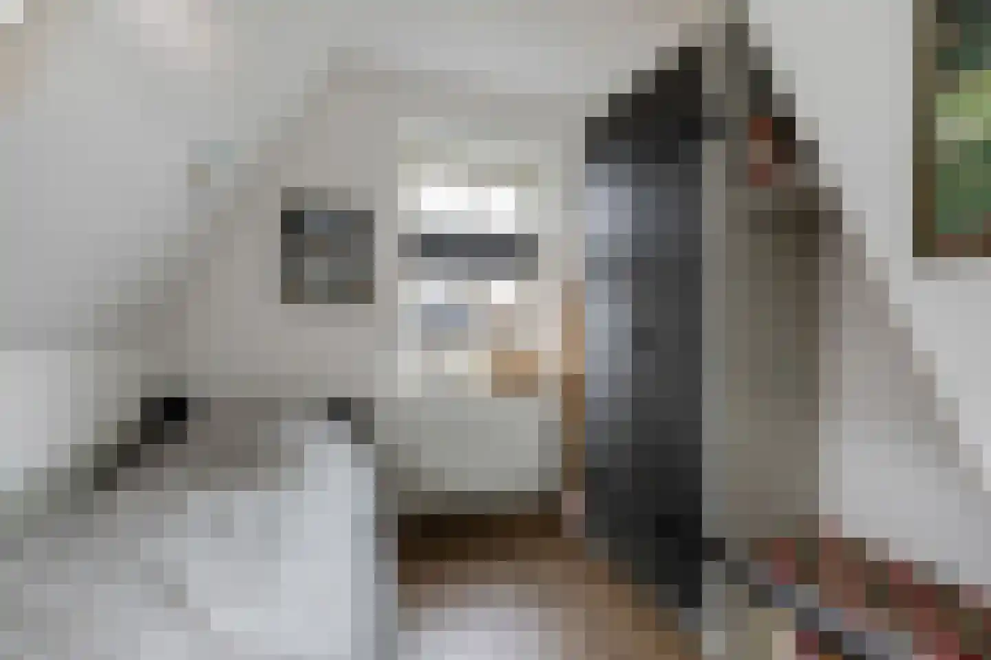 Nieuwe Kerkstraat 70 Nijkerkerveen thumbnail 26