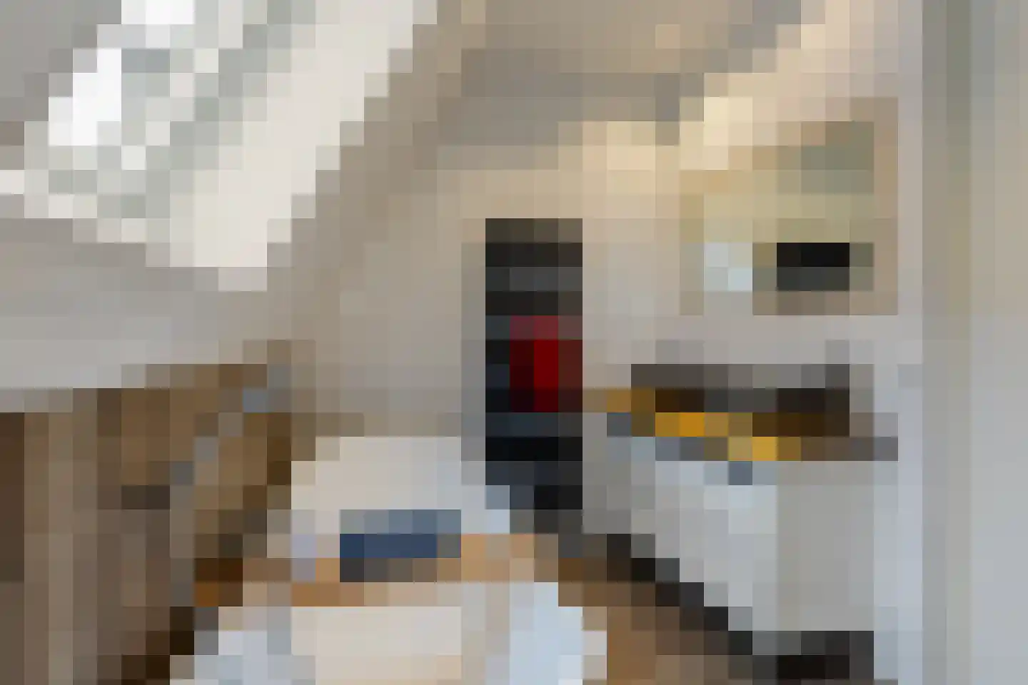 Nieuwe Kerkstraat 70 Nijkerkerveen thumbnail 28