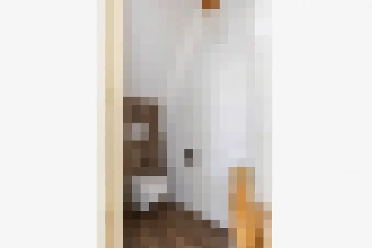 Nieuwe Kerkstraat 70 Nijkerkerveen thumbnail 29