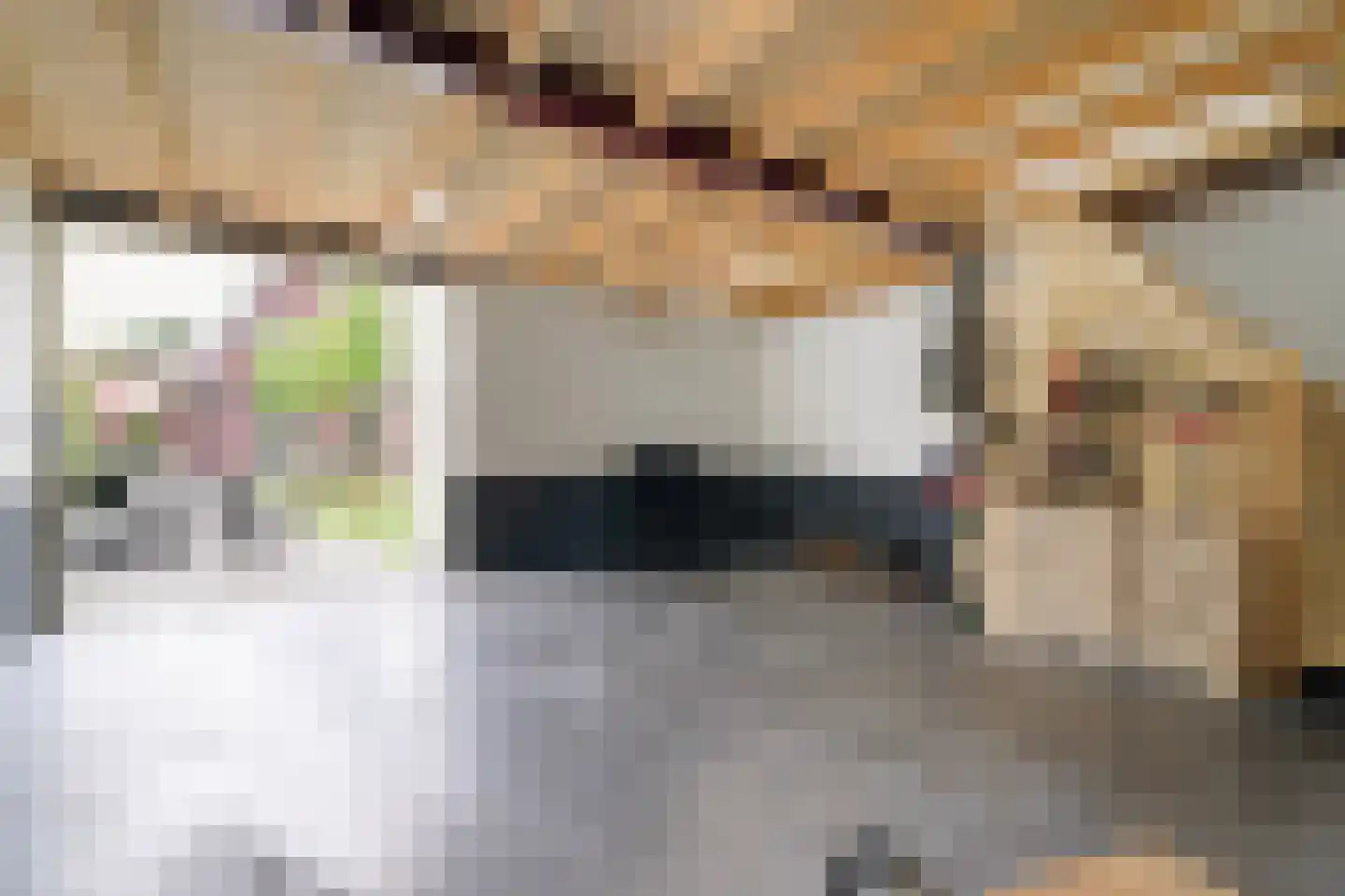 Nieuwe Kerkstraat 70 Nijkerkerveen thumbnail 31