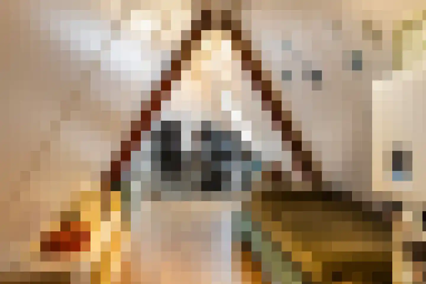 Nieuwe Kerkstraat 70 Nijkerkerveen thumbnail 31