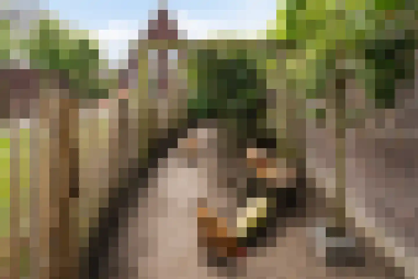 Nieuwe Kerkstraat 70 Nijkerkerveen thumbnail 34