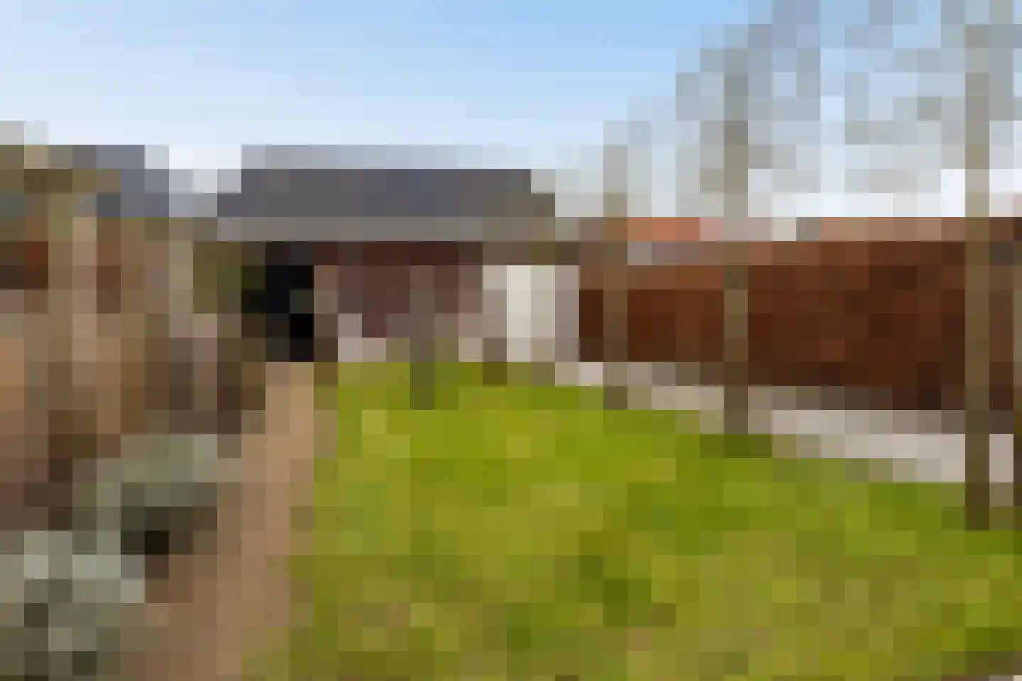 Nieuwe Kerkstraat 70 Nijkerkerveen thumbnail 36