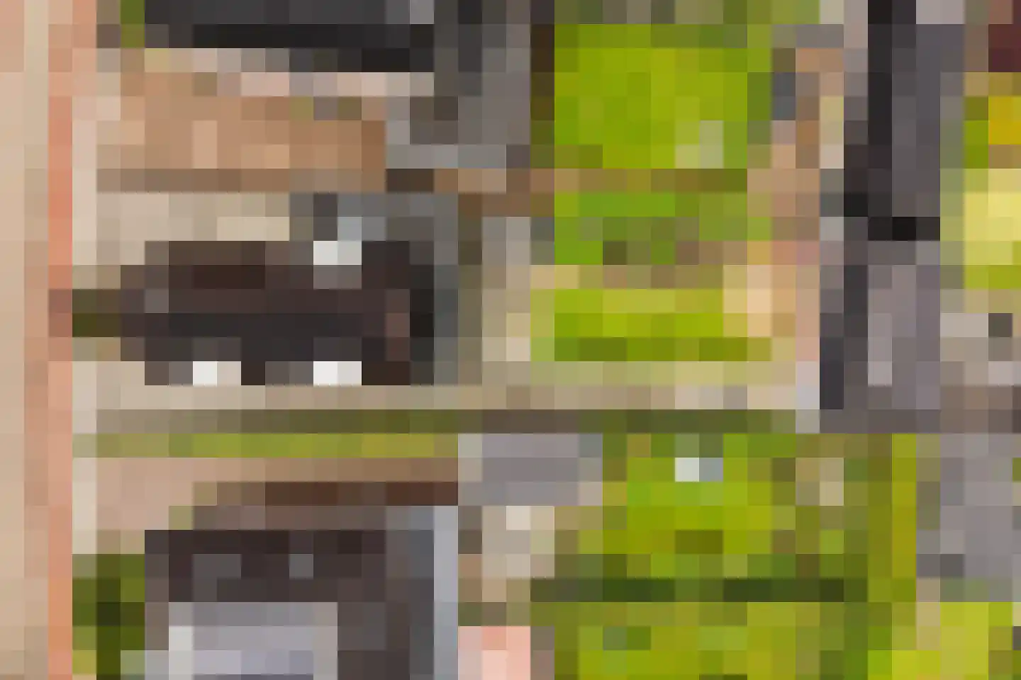 Nieuwe Kerkstraat 70 Nijkerkerveen thumbnail 40
