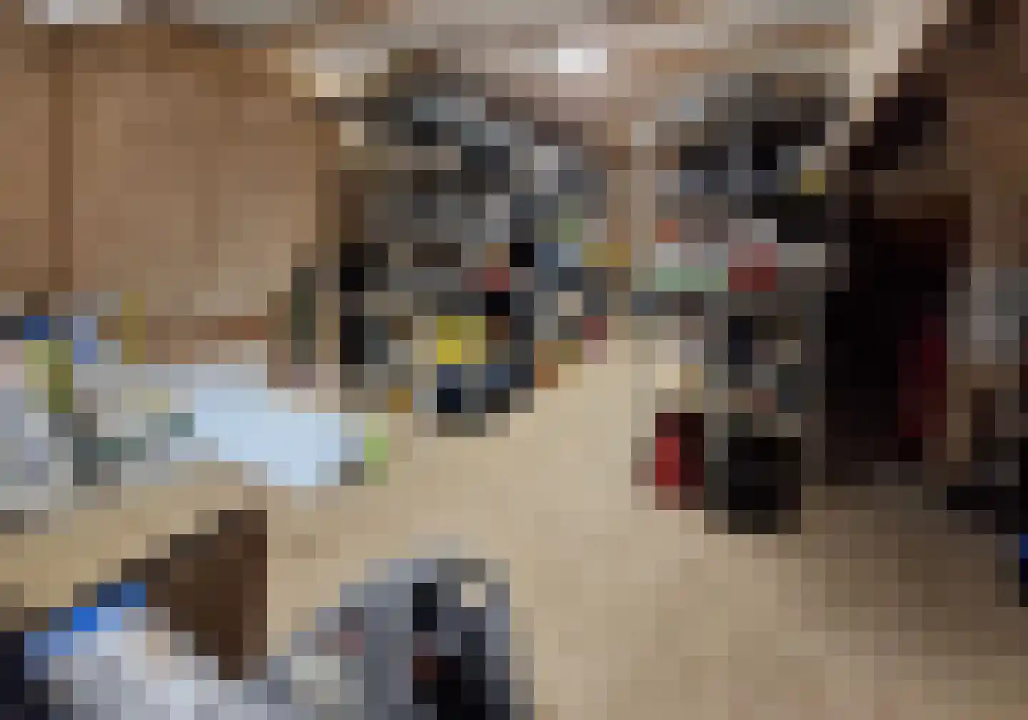 Nieuwe Kerkstraat 70 Nijkerkerveen thumbnail 46