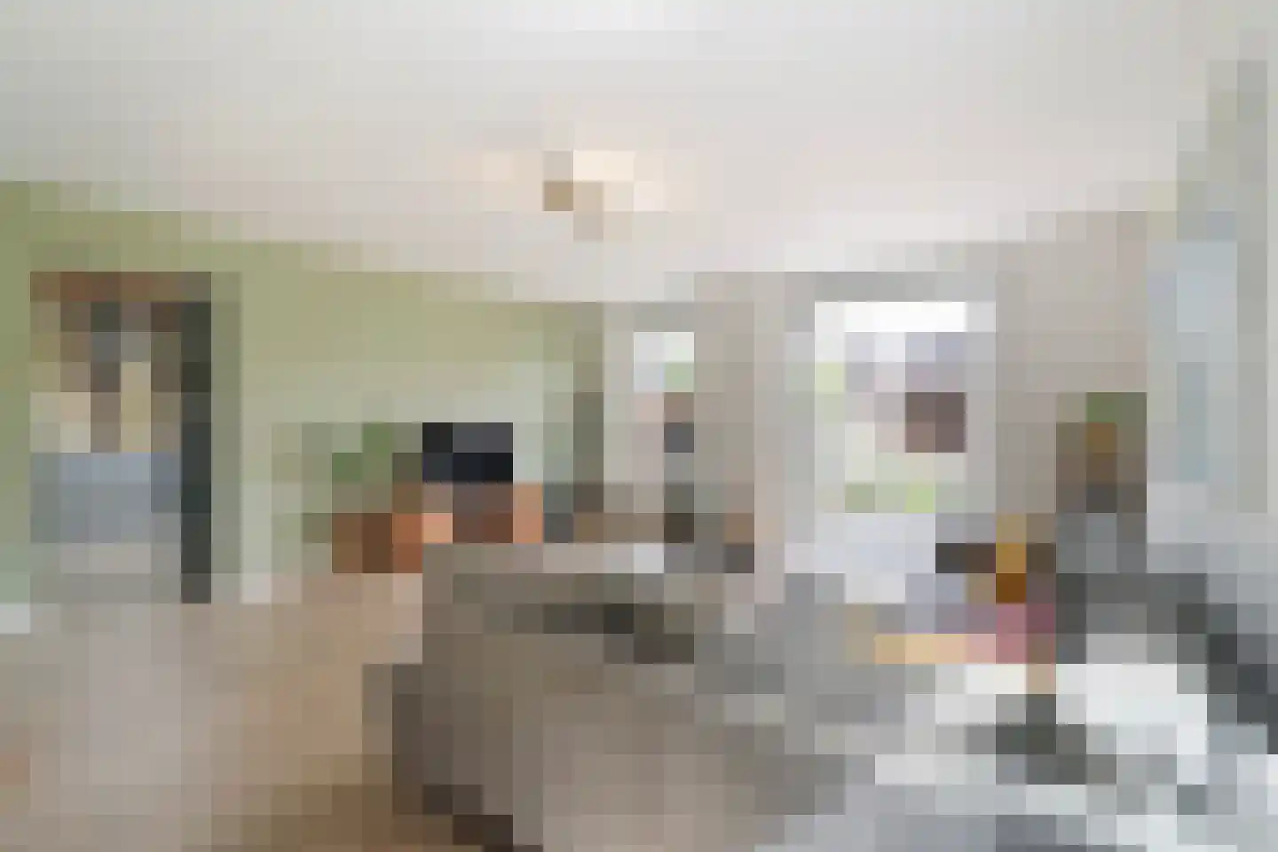 Nieuwe Kerkstraat 70 Nijkerkerveen thumbnail 7
