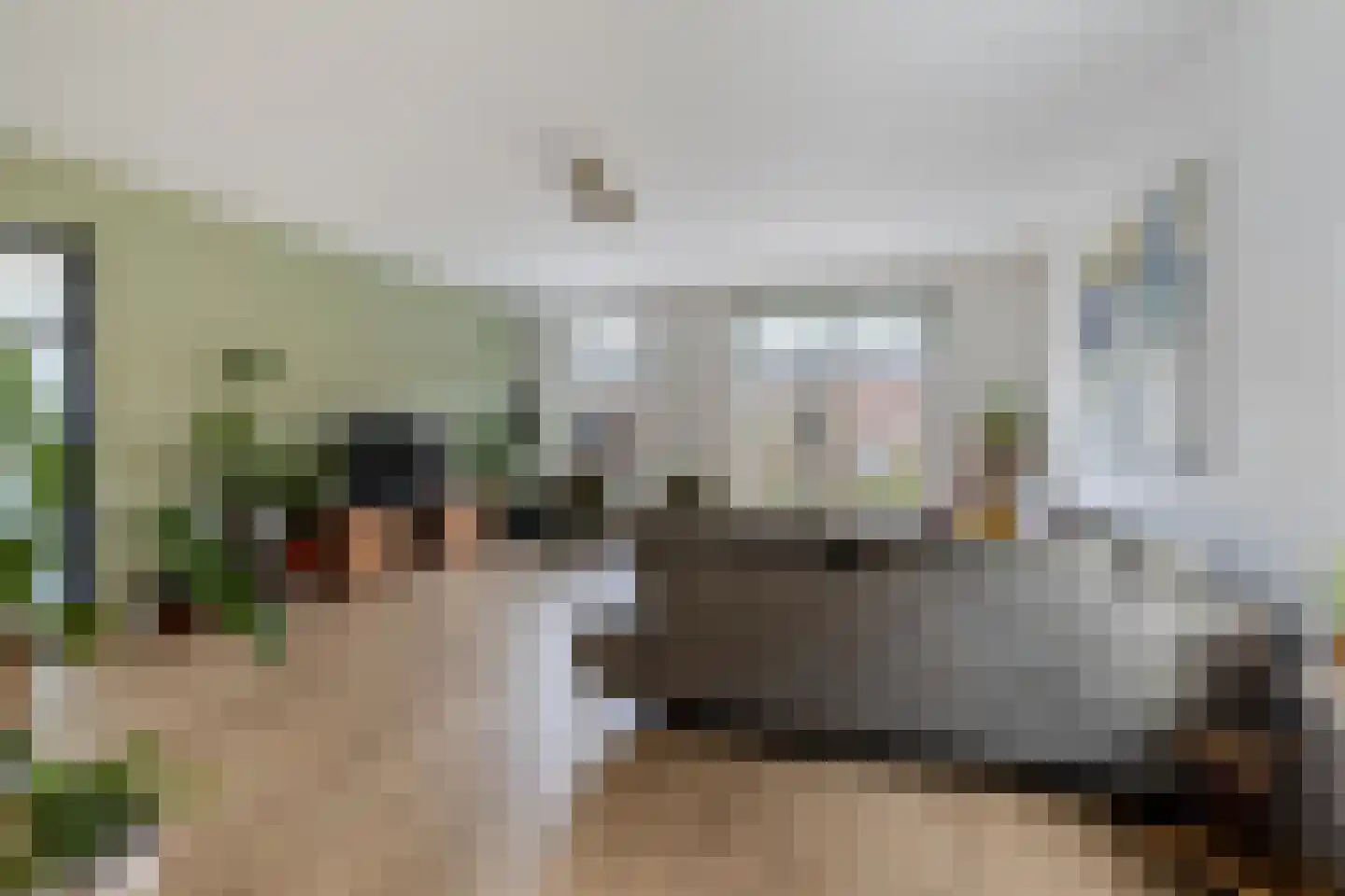Nieuwe Kerkstraat 70 Nijkerkerveen thumbnail 9