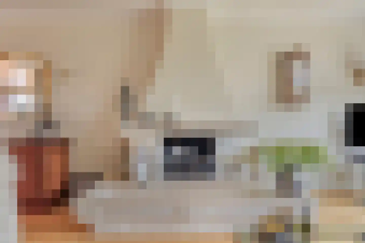 Nieuwe Kerkstraat 87 a Nijkerkerveen thumbnail 18