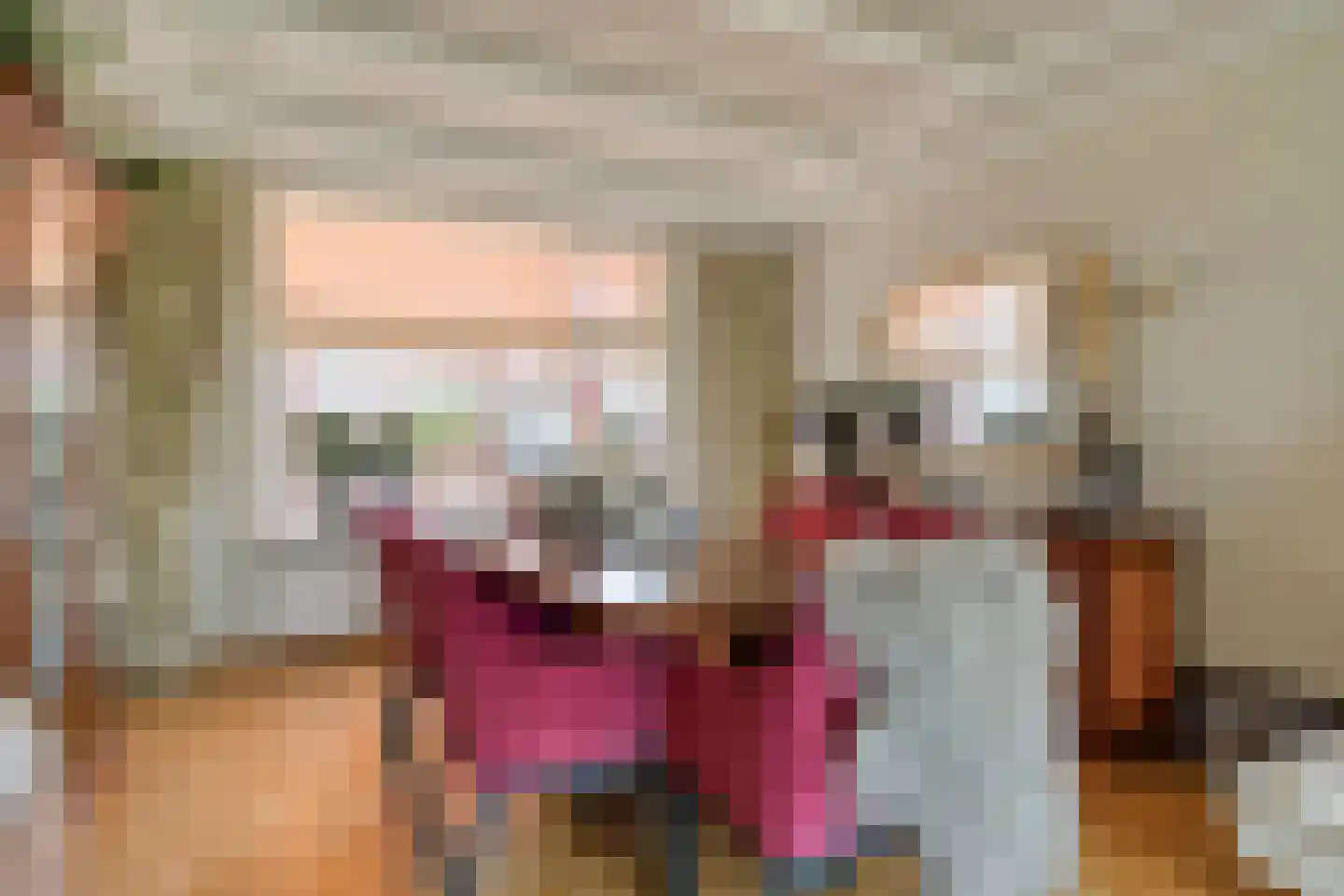 Nieuwe Kerkstraat 87 a Nijkerkerveen thumbnail 21