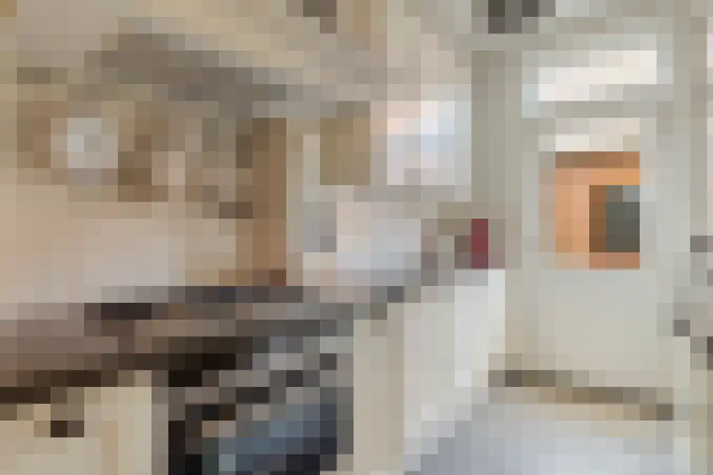 Nieuwe Kerkstraat 87 a Nijkerkerveen thumbnail 24
