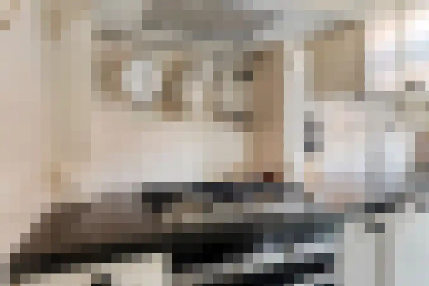 Nieuwe Kerkstraat 87 a Nijkerkerveen thumbnail 25