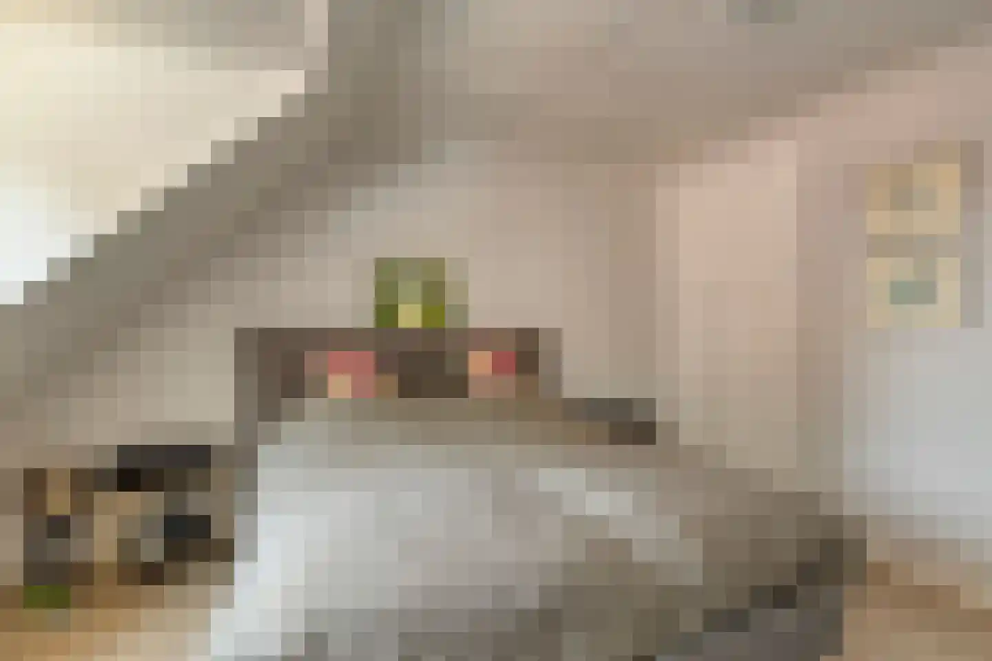 Nieuwe Kerkstraat 87 a Nijkerkerveen thumbnail 30
