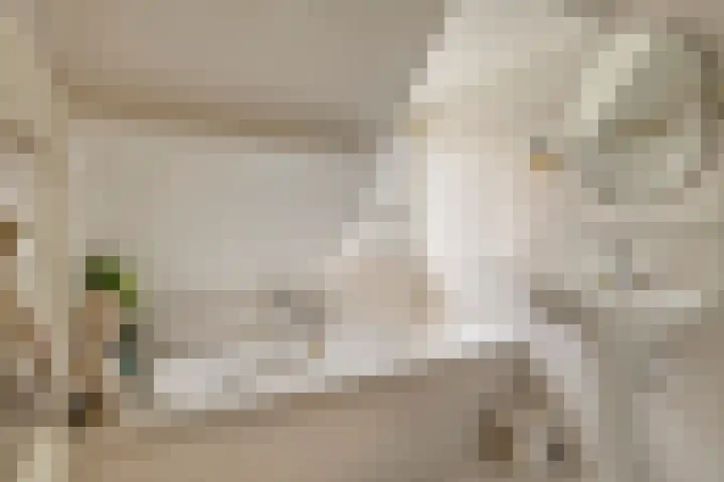 Nieuwe Kerkstraat 87 a Nijkerkerveen thumbnail 31