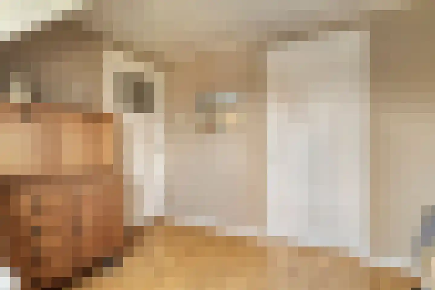 Nieuwe Kerkstraat 87 a Nijkerkerveen thumbnail 35