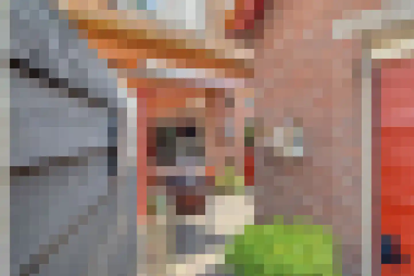 Nieuwe Kerkstraat 87 a Nijkerkerveen thumbnail 38