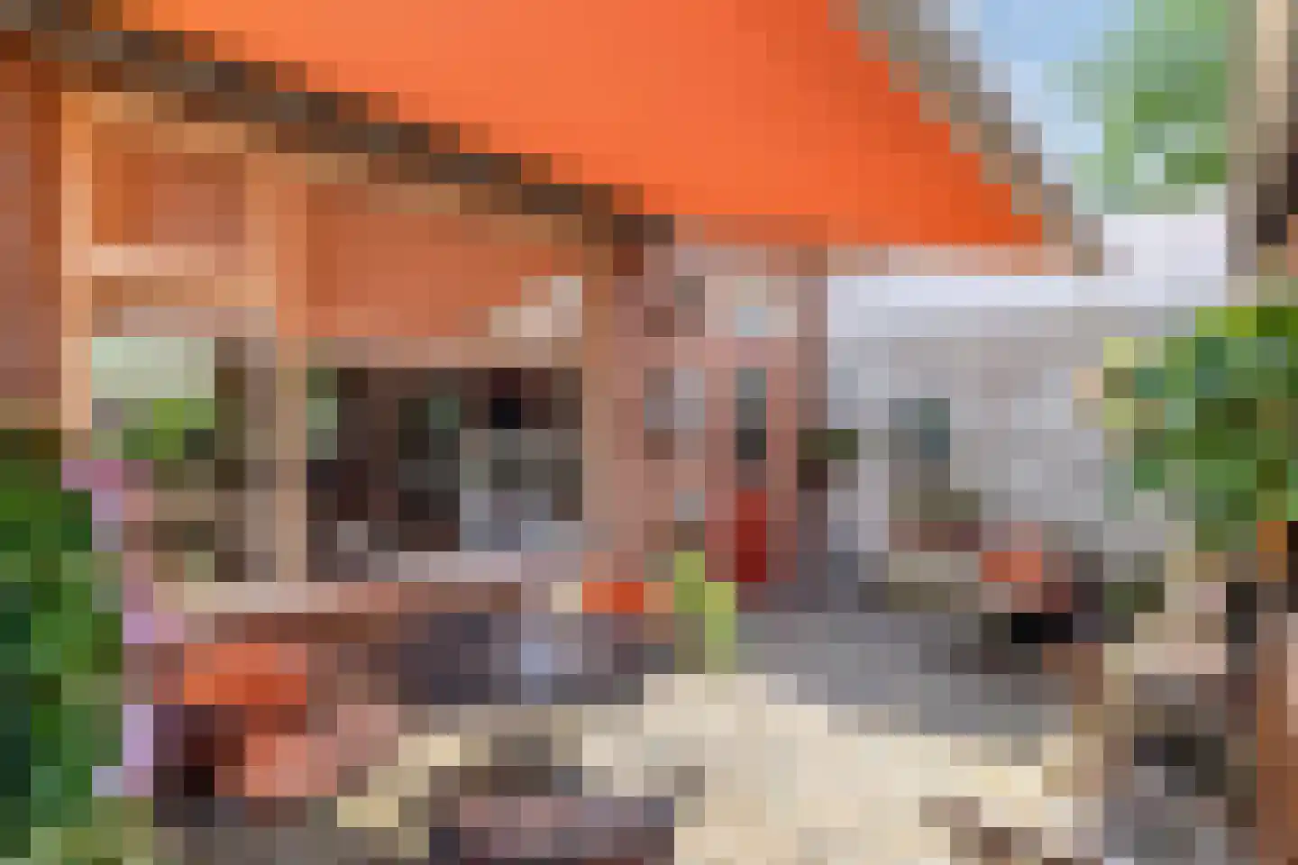 Nieuwe Kerkstraat 87 a Nijkerkerveen thumbnail 39