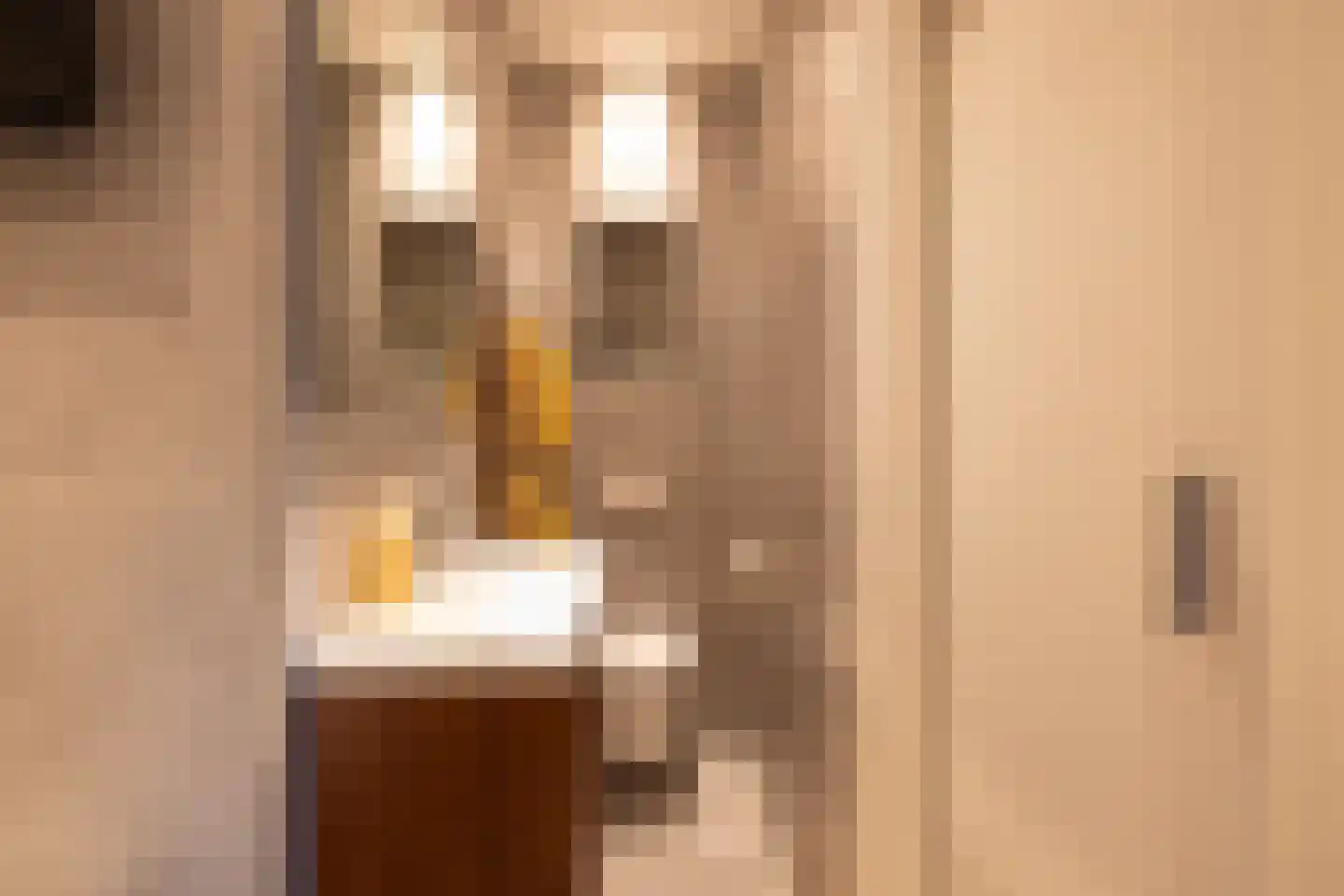 Nieuwe Kerkstraat 87 A Rotterdam thumbnail 21