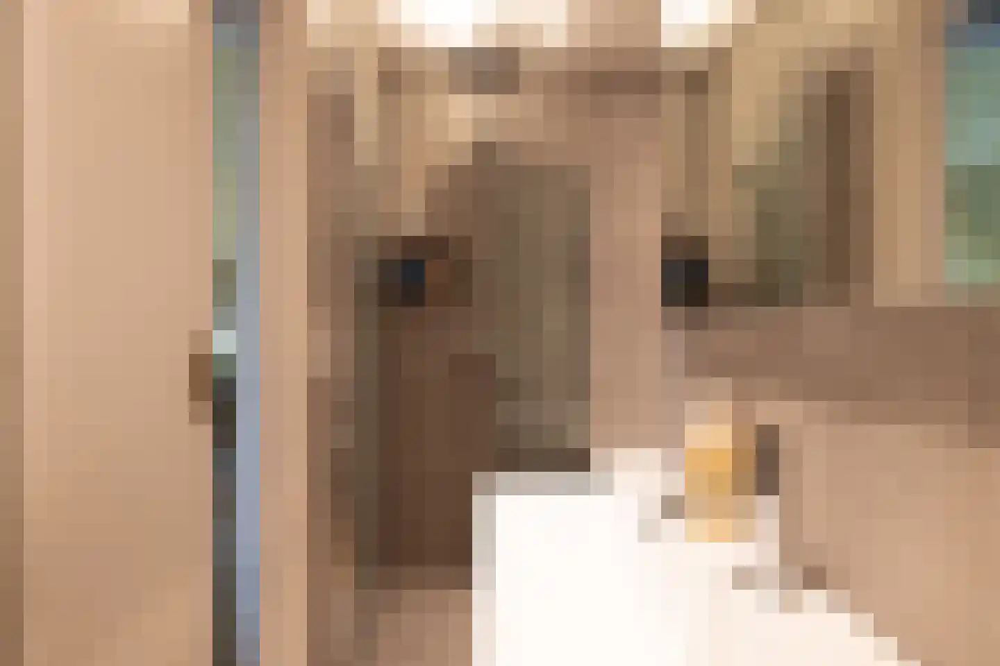 Nieuwe Kerkstraat 87 A Rotterdam thumbnail 22