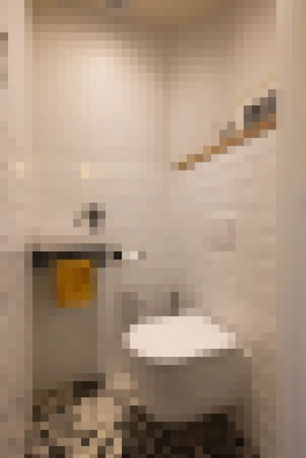 Nieuwe Kerkstraat 87 A Rotterdam thumbnail 24