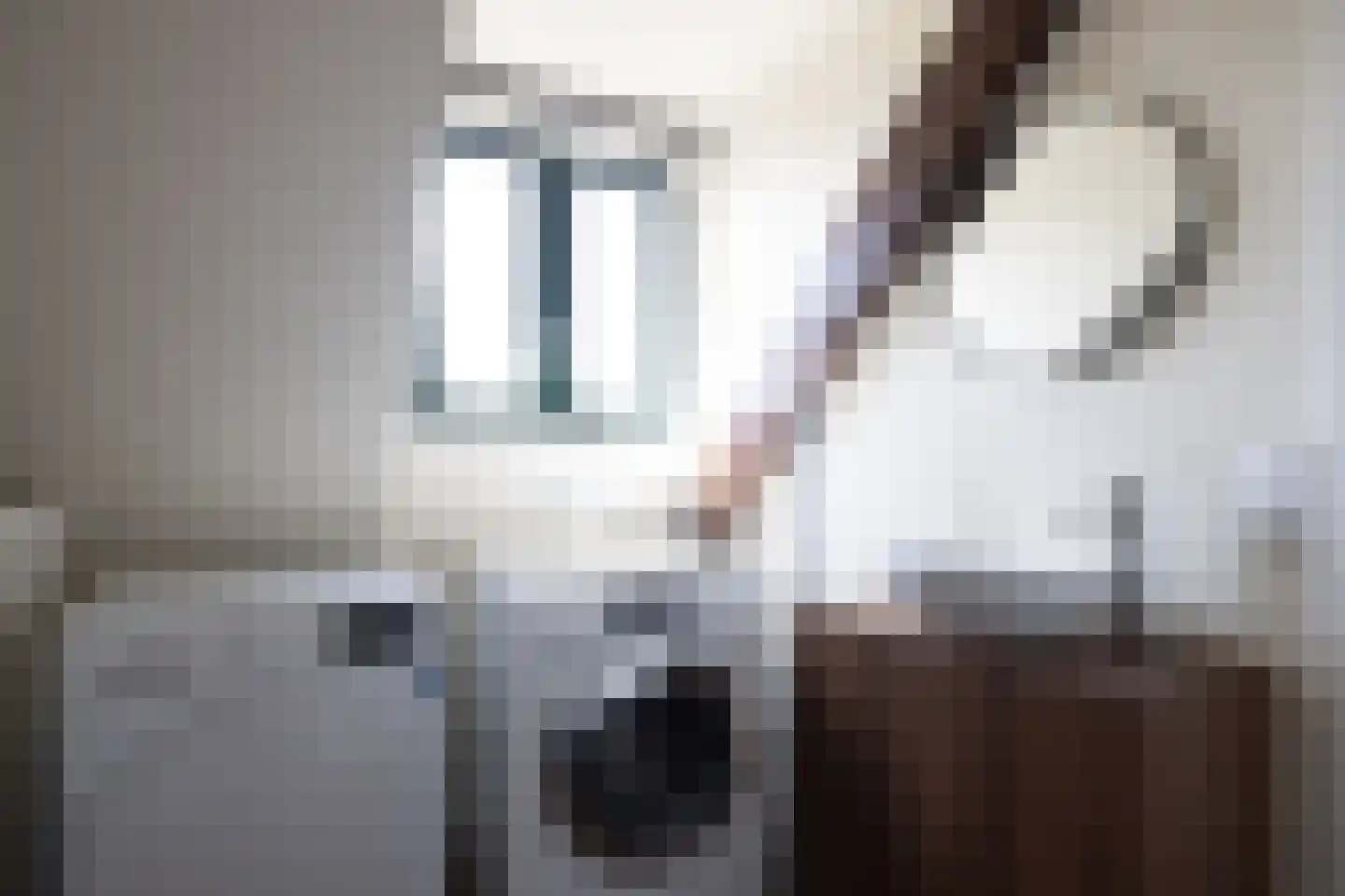 Nieuwe Kerkstraat 87 A Rotterdam thumbnail 29