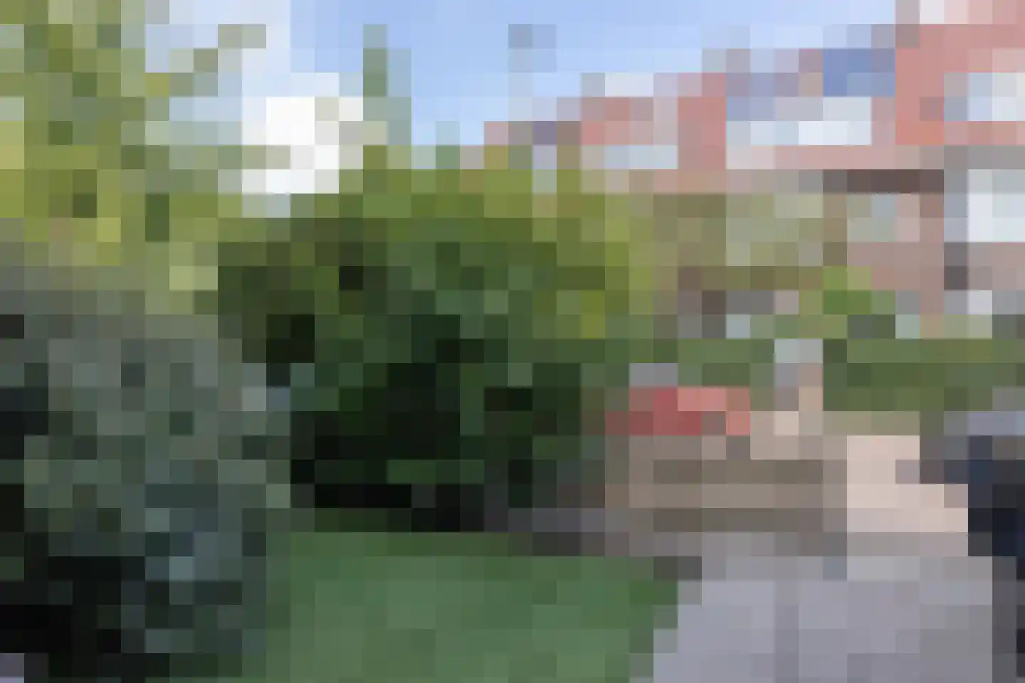 Nieuwe Kerkstraat 87 A Rotterdam thumbnail 36