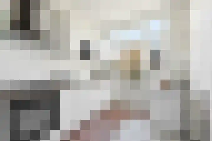 Nieuwe Kerkstraat 89 B Rotterdam thumbnail 14