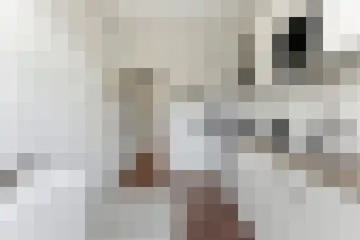 Nieuwe Kerkstraat 89 B Rotterdam thumbnail 15