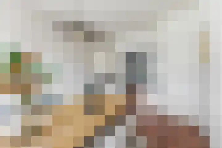 Nieuwe Kerkstraat 89 B Rotterdam thumbnail 24