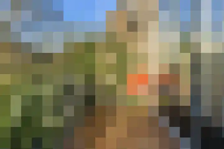 Nieuwe Kerkstraat 89 B Rotterdam thumbnail 40