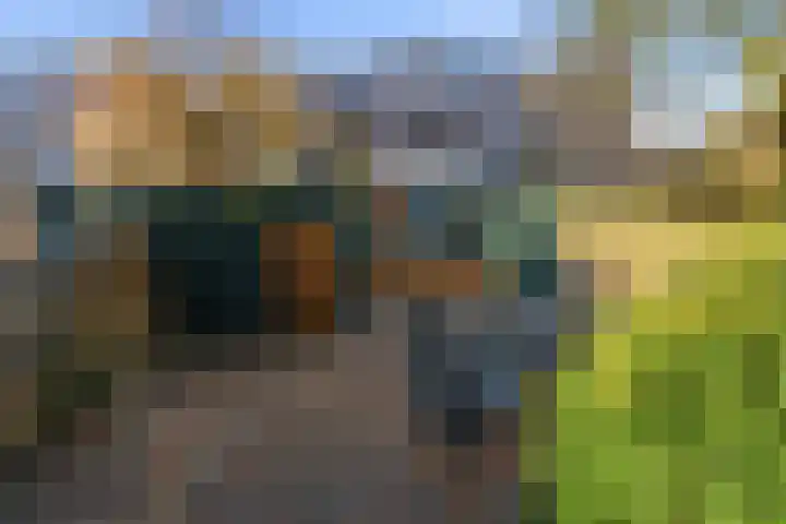 Nieuwe Kerkstraat 89 B Rotterdam thumbnail 41