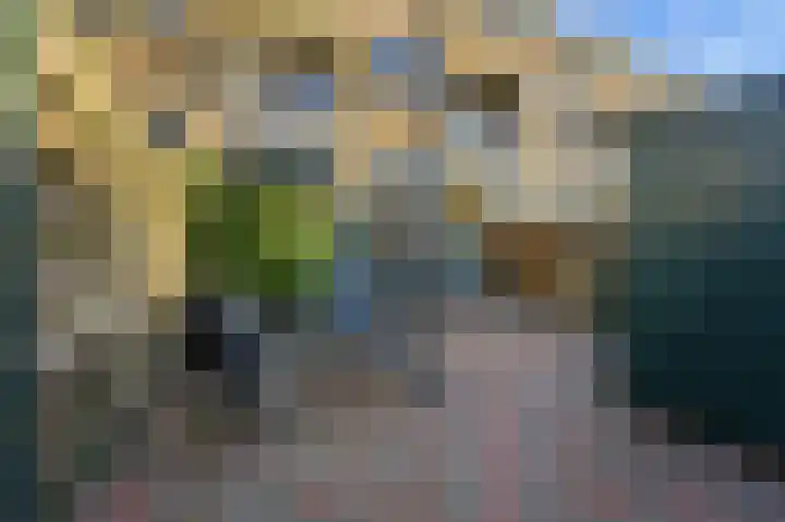 Nieuwe Kerkstraat 89 B Rotterdam thumbnail 44