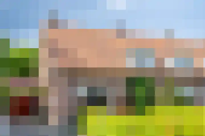 Nieuwe Kerkstraat 89 Nijkerkerveen thumbnail 10