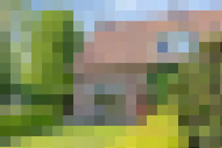 Nieuwe Kerkstraat 89 Nijkerkerveen thumbnail 11