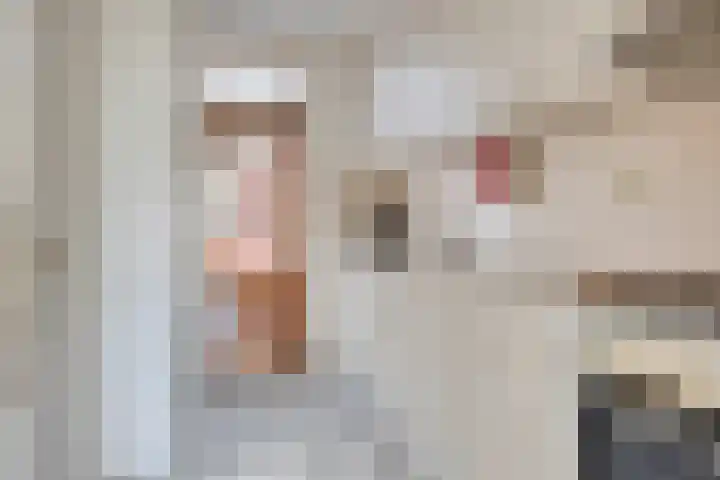 Nieuwe Kerkstraat 89 Nijkerkerveen thumbnail 14
