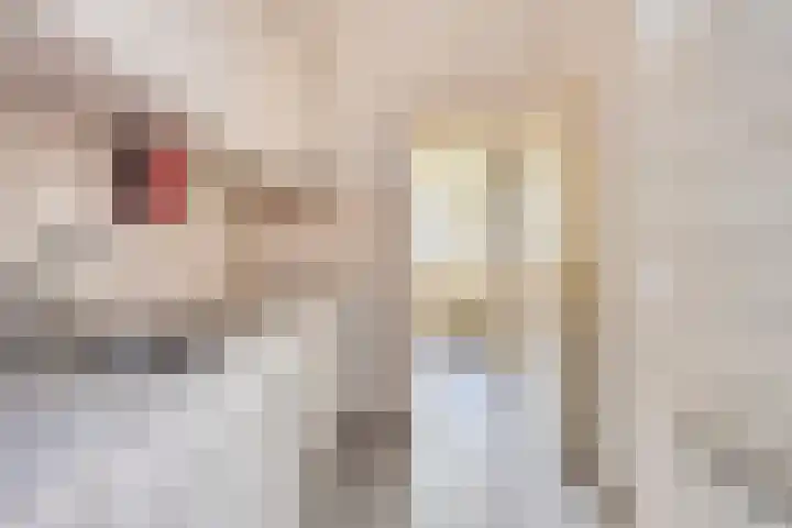 Nieuwe Kerkstraat 89 Nijkerkerveen thumbnail 15