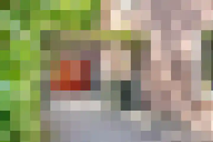 Nieuwe Kerkstraat 89 Nijkerkerveen thumbnail 30