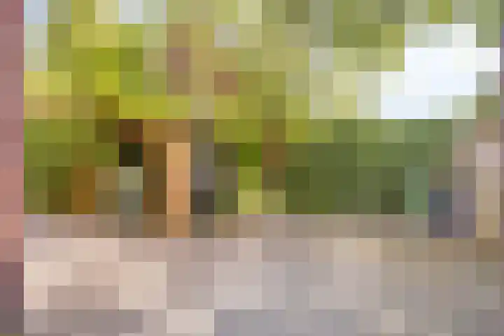 Nieuwe Kerkstraat 89 Nijkerkerveen thumbnail 32