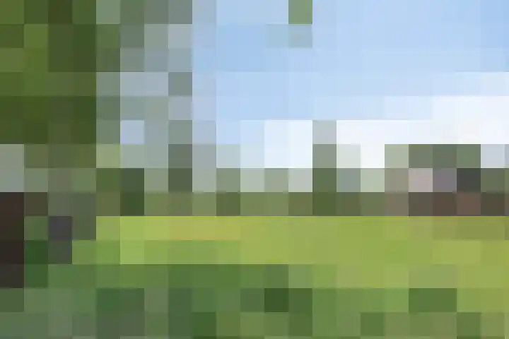 Nieuwe Kerkstraat 89 Nijkerkerveen thumbnail 34