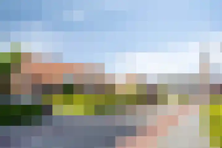 Nieuwe Kerkstraat 89 Nijkerkerveen thumbnail 7