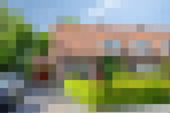 Nieuwe Kerkstraat 89 Nijkerkerveen thumbnail 9