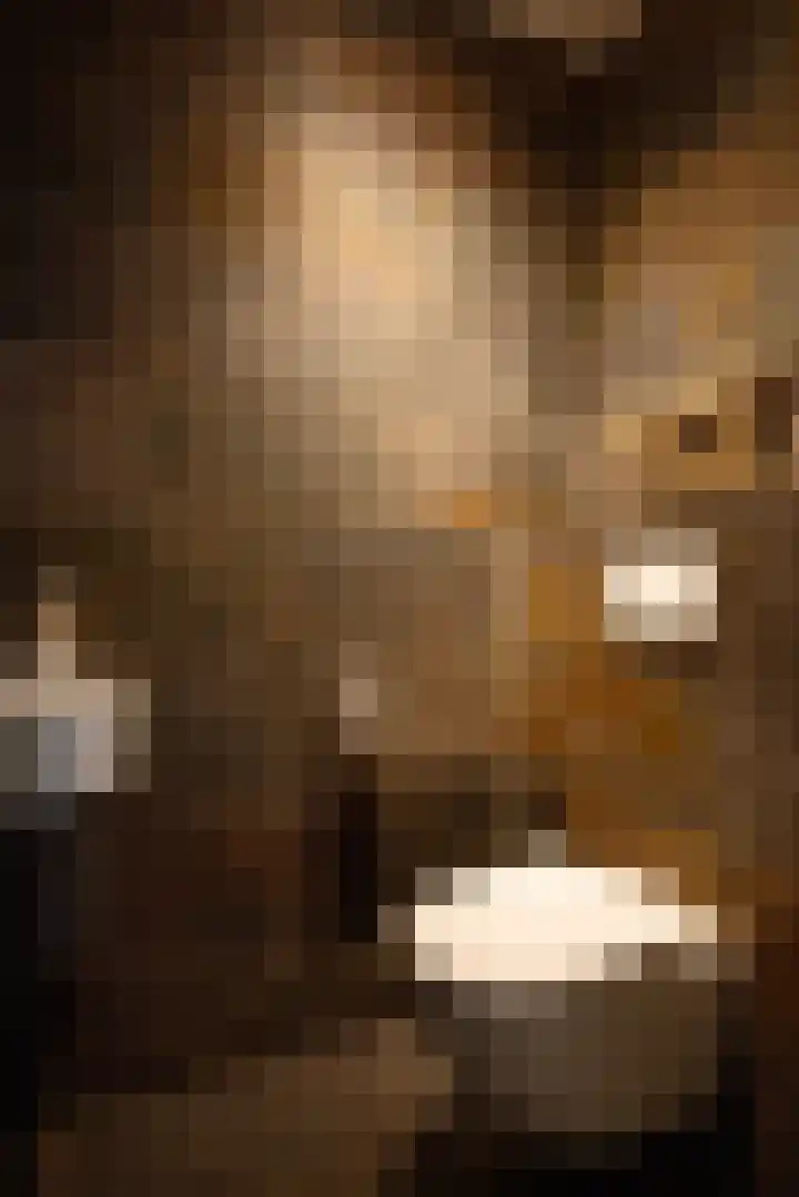 Nieuwe Kerkstraat 9 Nijkerkerveen thumbnail 16