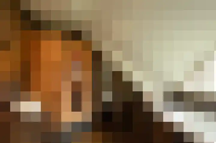 Nieuwe Kerkstraat 9 Nijkerkerveen thumbnail 26